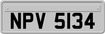 NPV5134
