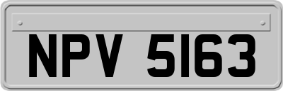 NPV5163