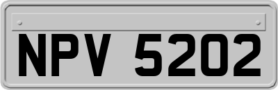 NPV5202