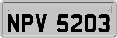 NPV5203