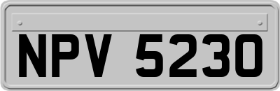 NPV5230