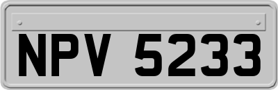 NPV5233
