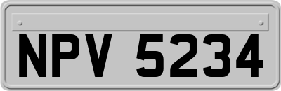 NPV5234