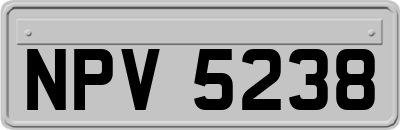 NPV5238