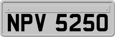 NPV5250