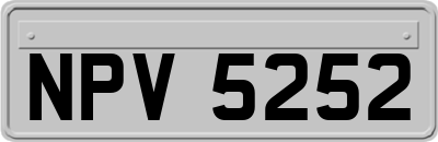NPV5252