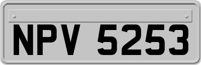 NPV5253