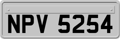 NPV5254