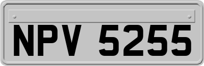 NPV5255