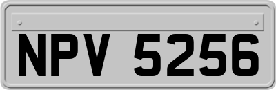 NPV5256