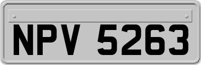 NPV5263