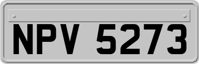 NPV5273