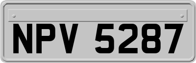 NPV5287