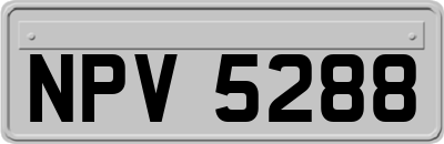 NPV5288