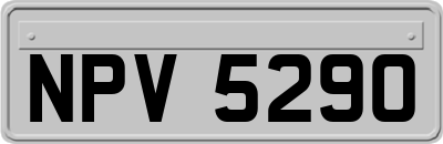 NPV5290