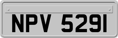 NPV5291