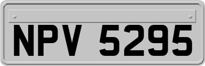 NPV5295