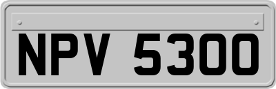 NPV5300