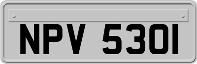 NPV5301