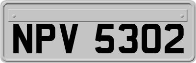 NPV5302
