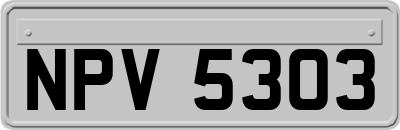 NPV5303