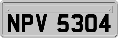 NPV5304