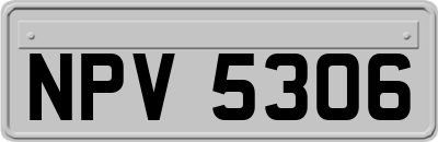 NPV5306