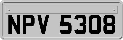 NPV5308