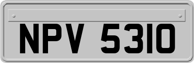 NPV5310