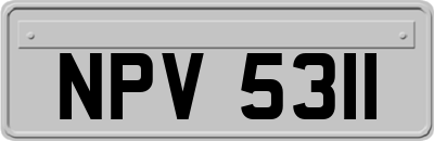 NPV5311