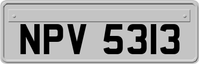 NPV5313