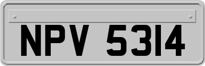 NPV5314