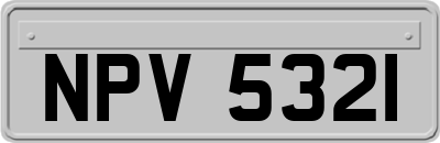 NPV5321