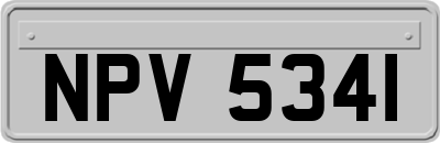 NPV5341