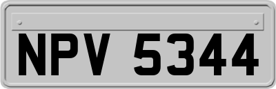 NPV5344