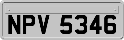 NPV5346