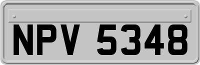 NPV5348
