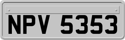 NPV5353