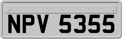 NPV5355