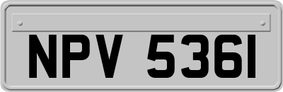 NPV5361
