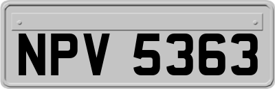 NPV5363