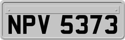NPV5373
