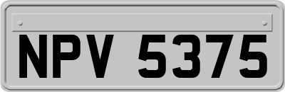 NPV5375
