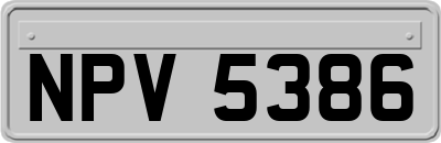 NPV5386