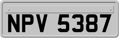 NPV5387