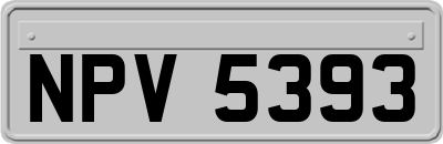 NPV5393