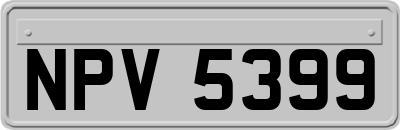 NPV5399