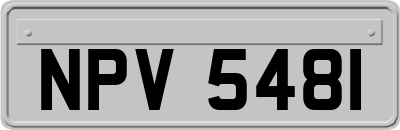 NPV5481