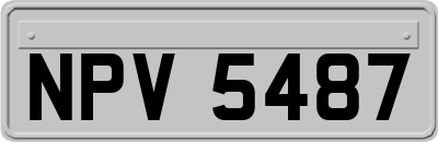 NPV5487