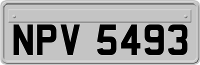 NPV5493